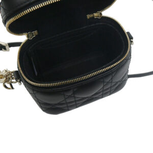 7-47/ D-Vanity-Micro) Bag Organizer for D Micro Vanity Case - SAMORGA®  Perfect Bag Organizer